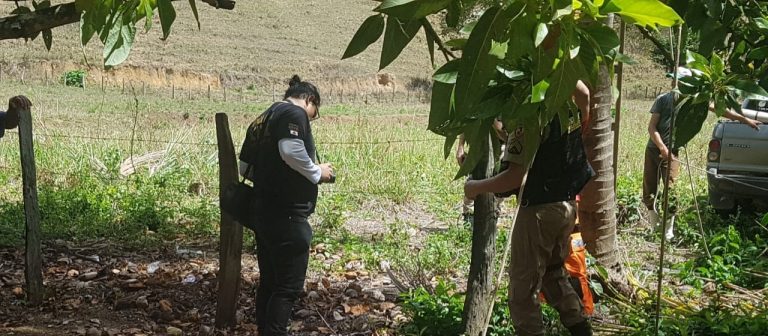 Idoso morre em cima de pé de coco na zona rural de Carlos Chagas, interior de Minas Gerais.